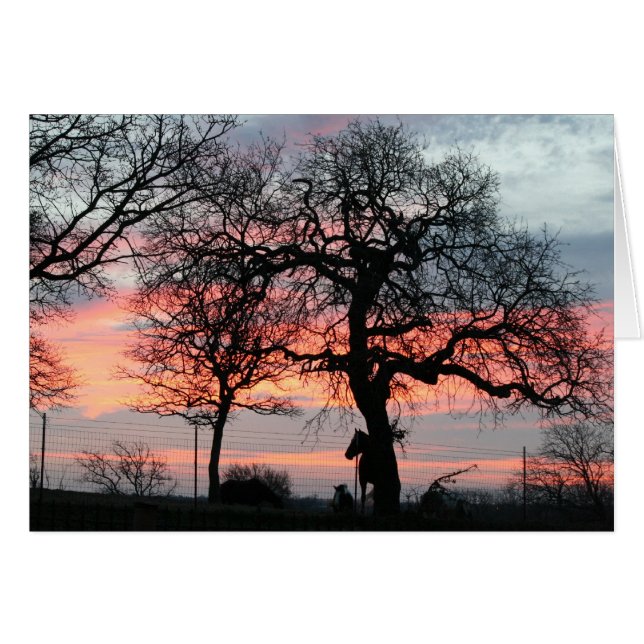 魔法の空 (正面横)