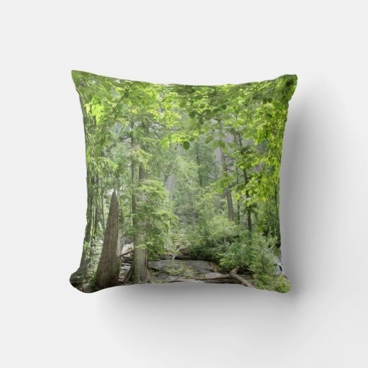 魔法の緑の森のシーン。 クッション (正面)
