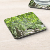 魔法の緑の森のシーン。 コースター (左側)