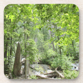 魔法の緑の森のシーン。 コースター