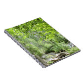 魔法の緑の森のシーン。 ノートブック (右側)