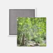 魔法の緑の森のシーン。 マグネット (正面/裏面)