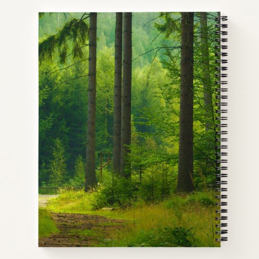 魔法の緑の森の道の木々の霧 ノートブック (裏面)