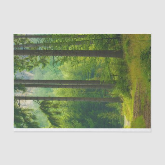 魔法の緑の森の道の木々の霧 薄葉紙 (正面)