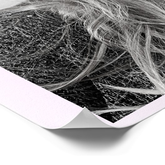 魔法の色が白いユニコーンを開始 ポスター (角)