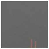 魔法の芸術的な服を着たライオン ファブリック (クローズアップ)