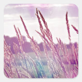 魔法の草 スクエアシール (正面)