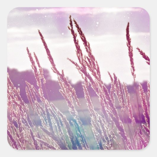 魔法の草 スクエアシール (正面)