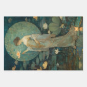 魔法の蓮の園のデコパージュに魅了された女性 ラッピングペーパーシート (正面2)