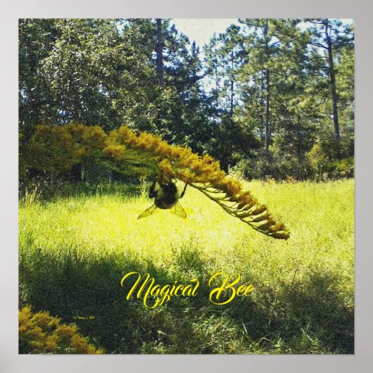 魔法の蜂、蜂のポスター、蜂と花のポスター、 ポスター (正面)