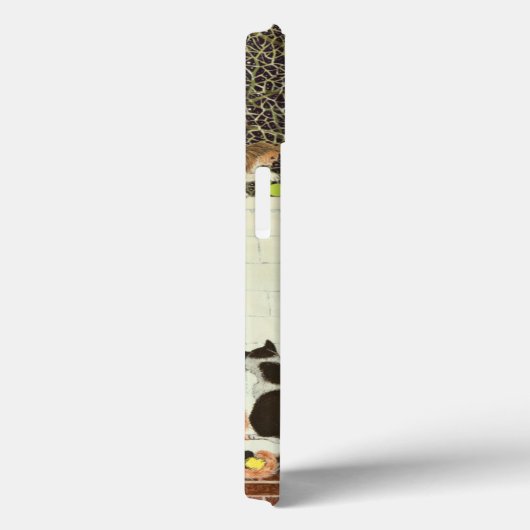 魔法の表示2012年 Case-Mate iPhoneケース (裏面 / 右)