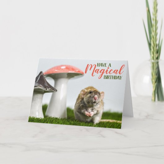 魔法の誕生日 カード (正面)