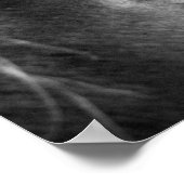 魔法の馬の黒と白 ポスター (角)