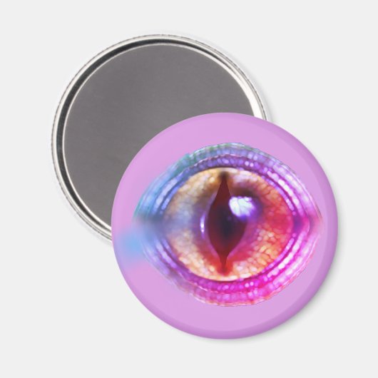 魔法の魅惑の紫のファンタジードラゴンの目 マグネット (正面/裏面)