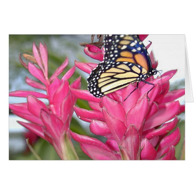 魔法の（昆虫）オオカバマダラ、モナーク (正面横)