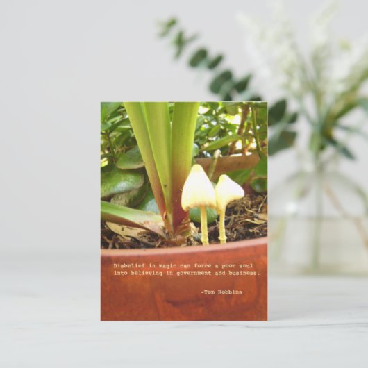 魔法はがき ポストカード (スタンド正面)