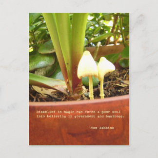 魔法はがき ポストカード