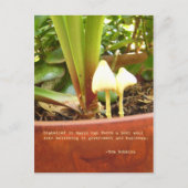 魔法はがき ポストカード (正面)