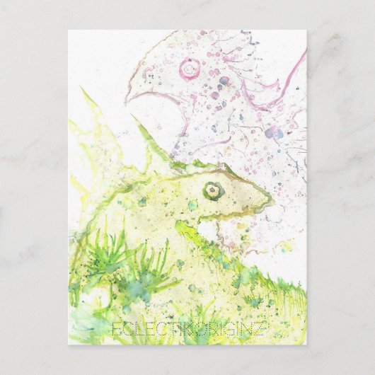 魔法インクはがき ポストカード (正面)