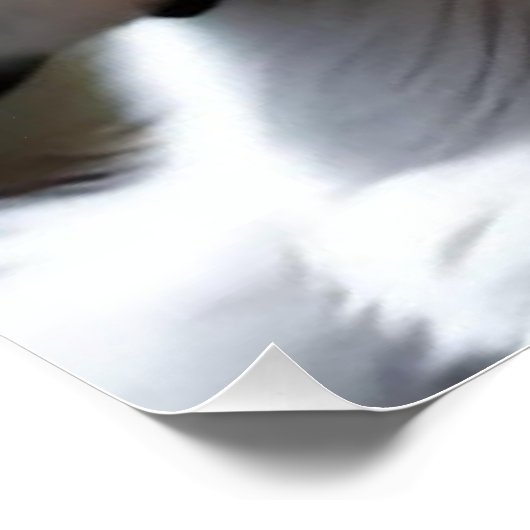 魔法カート ポスター (コーナー)