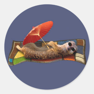 魔法カーペットライドステッカー ラウンドシール