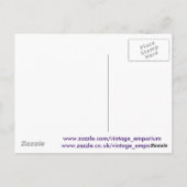 魔法カーペットライド ポストカード (裏面)