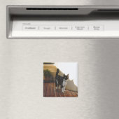 魔法キャッカスタマイズト –  マグネット (インサイチュ (食洗機))