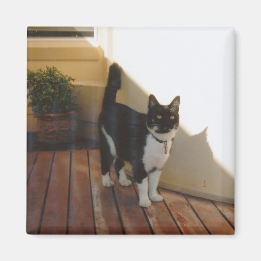 魔法キャッカスタマイズト –  マグネット (正面)