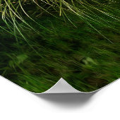 魔法サマーガーデン ポスター (角)