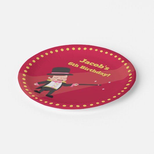 魔法ショーの手品師の男の子の誕生会の供給 ペーパープレート (アングル)