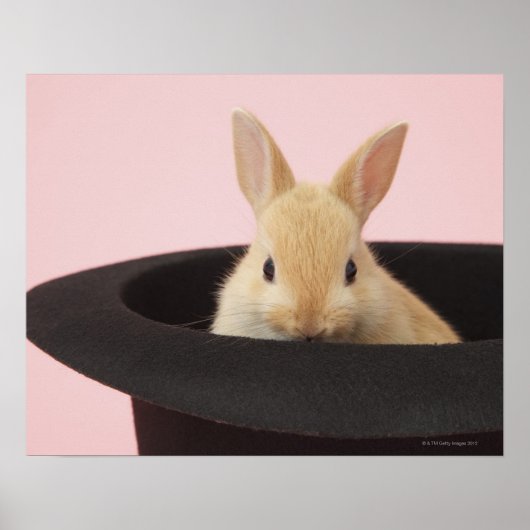 魔法バニー ポスター (正面)