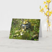 「魔法ポットの金ゴールド!」 カード (黄色い花)