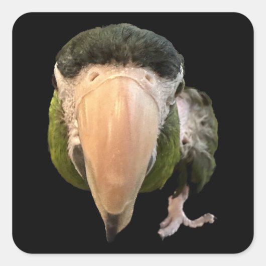 魔法ミキーシすごいステッカー スクエアシール (正面)