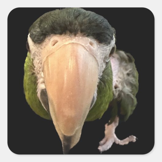 魔法ミキーシすごいステッカー スクエアシール (正面)