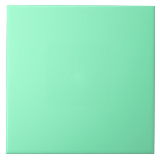 魔法ミント タイル (正面)