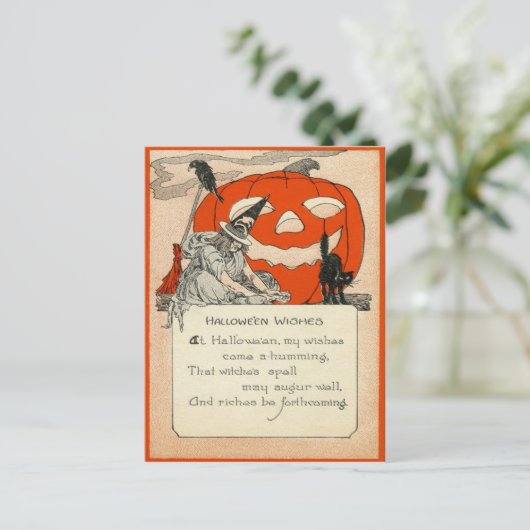 魔法使いのハロウィーンのカボチャのちょうちんの黒猫のワタリガラス ポストカード (スタンド正面)
