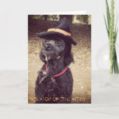 魔法使いの季節 カード (正面)