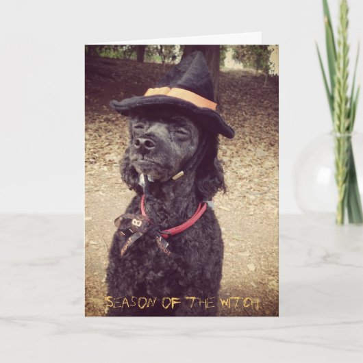 魔法使いの季節 カード (正面)