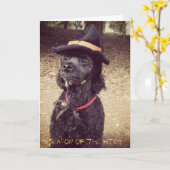 魔法使いの季節 カード (黄色い花)