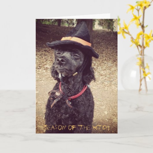 魔法使いの季節 カード (黄色い花)