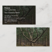 魔法使いの木、大聖堂ウッズ、インターベール、北部 名刺 (正面/裏面)