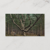 魔法使いの木、大聖堂ウッズ、インターベール、北部 名刺 (裏面)