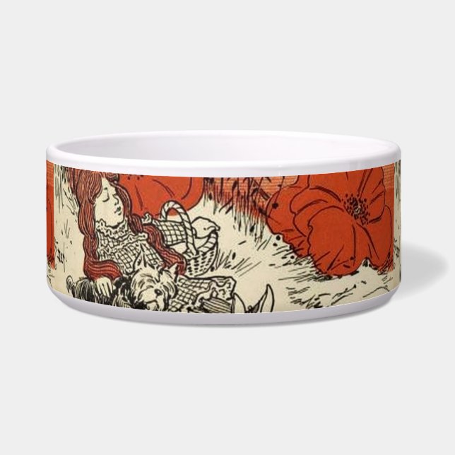 魔法使いオズペットボウル ボウル (正面)