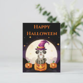 魔法使いラクーン ポストカード (スタンド正面)