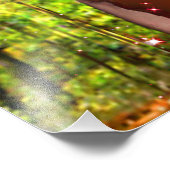 魔法園 フォトプリント            (角)