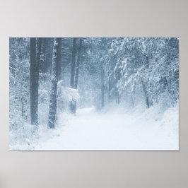 魔法失ったの森で ポスター