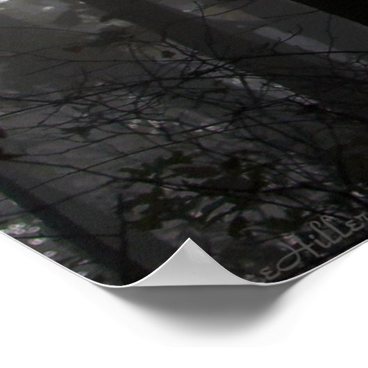 魔法時間の木々の間の霧と光のダンス ポスター (角)