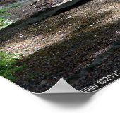 魔法朝のライトオンザフォレストトレイルポスター ポスター (角)