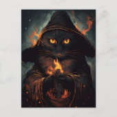 魔法猫はがき ポストカード (正面)