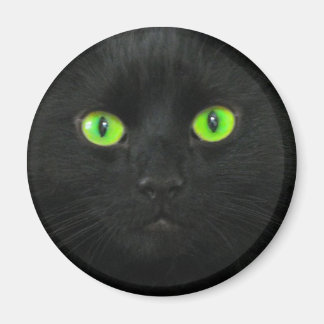 魔法磁石 マグネット